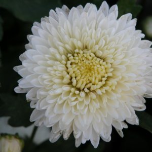  Родники